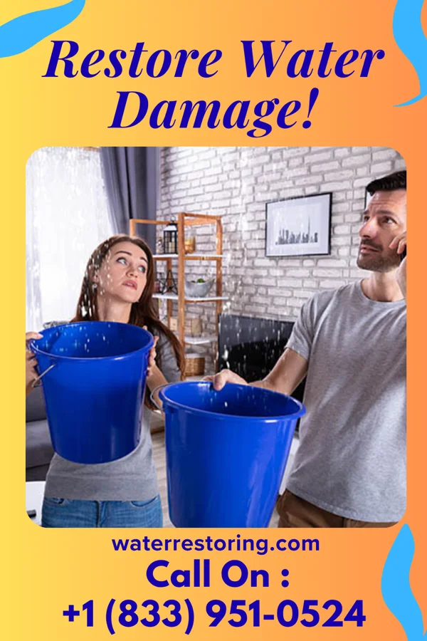 water restoration Prestige Mitigation Specialists Worden